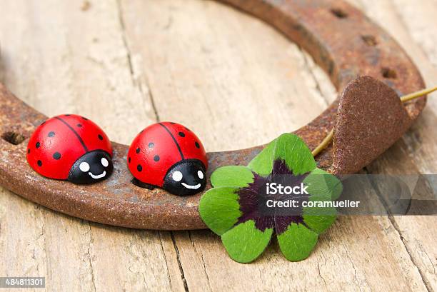 Horseshoe Stock Photo - Download Image Now - Horseshoe, Ladybug, Beetle