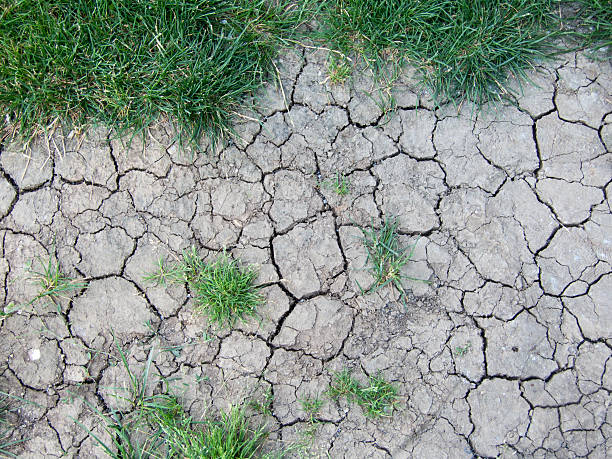 istock dry land with scraps of green grass 484812280