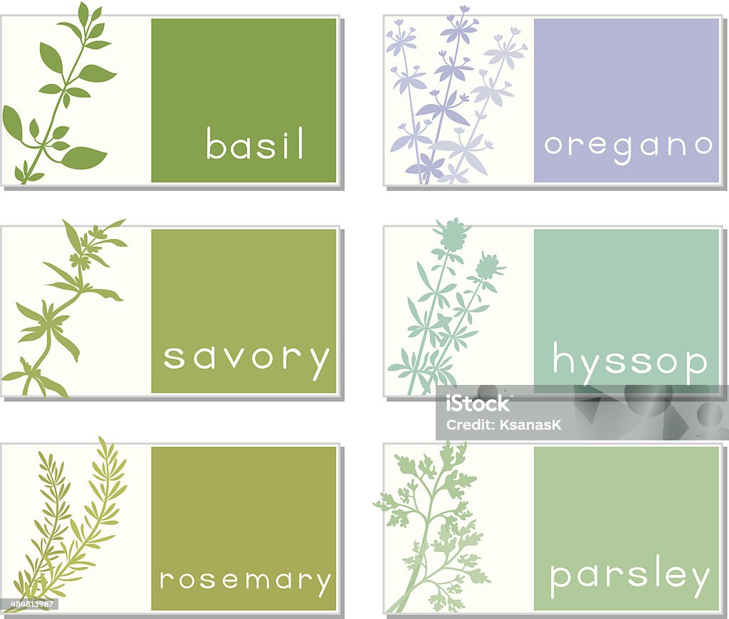 Titled Stickers With Herbs Set of six banners with aromatic plants. Each sticker is titled. Stickers for web or packaging design with text. Vector file is EPS8, all elements are grouped. Basil stock vector