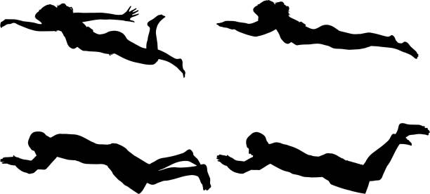Vector silhouette of a people who swim. Vector silhouette of a people who swim on a white background. swimming silhouettes stock illustrations