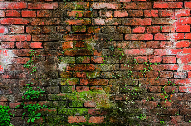 istock Detail of old weathered brick wall 484816633