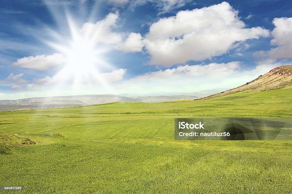 landscape of green field Agricultural Field Stock Photo