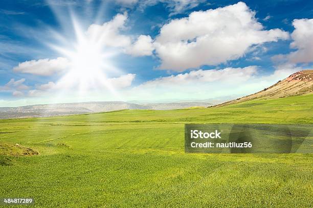 Landscape Of Green Field Stock Photo - Download Image Now - Agricultural Field, Agriculture, Backgrounds