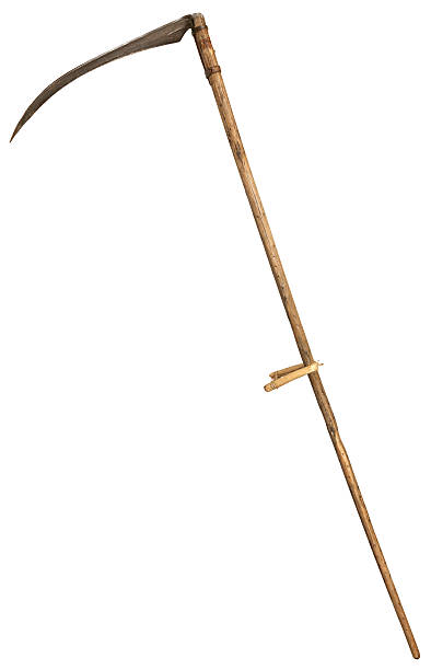 istock Old vintage scythe for grass isolated on white background. symbol 484818626