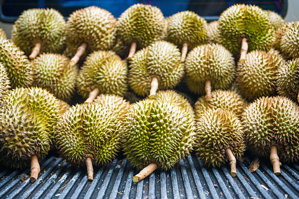 istock pile of fresh durain from garden 484823244