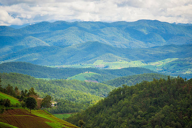 istock Scenic view of mountain range in Pa Pong Pieng. 484823592