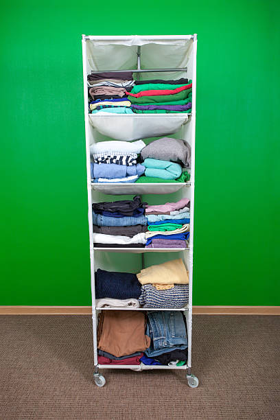 istock wardrobe on wheels against the green wall 484824896