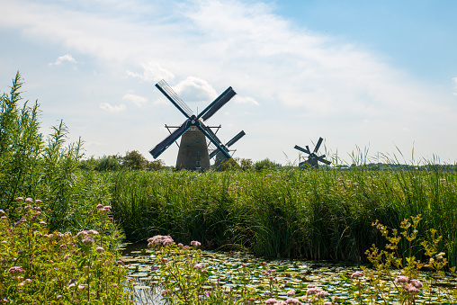 Historic windmill in the Netherlands