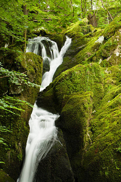 istock Fast flowing waterfall tumbling through woodland near Ambleside 484828618