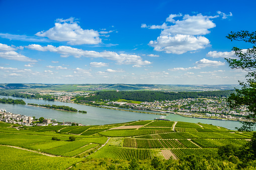 Rhein river and green vineyards near Bingen am Rhein and Ruedesheim, Rheinland-Pfalz, Germany