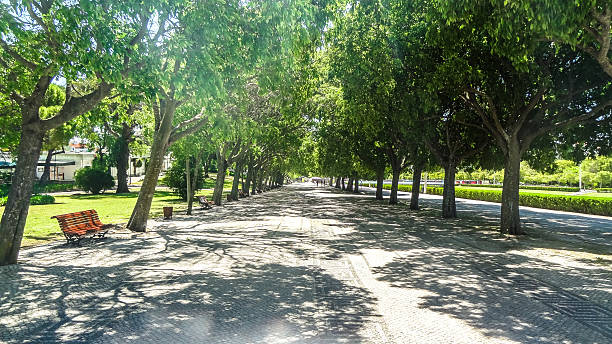 istock Go for a stroll through Parque Eduardo in Lisbon 484831598