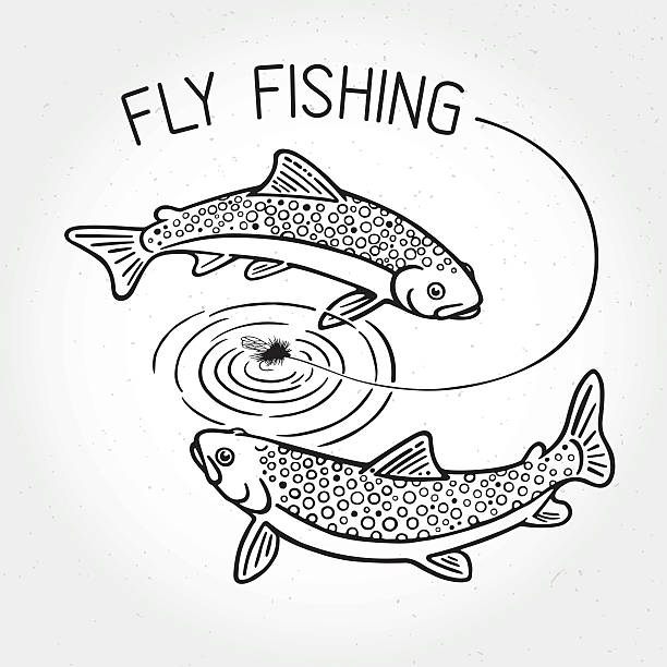 Illustration on fishing. Trout swim around the bait and the inscription: "Fly fishing". fly fishing illustrations stock illustrations