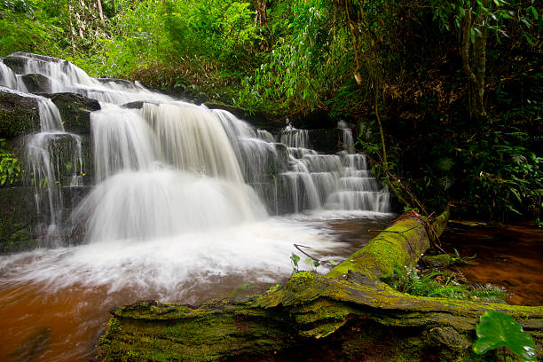 istock waterfall in deep forest of Thailand. 484835268