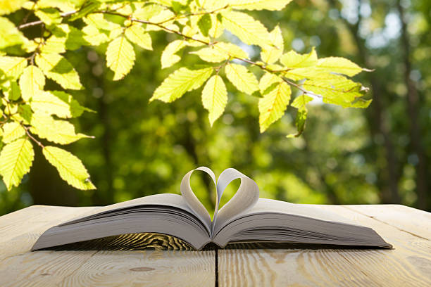 istock Open book on wooden table on natural blurred background. 484836316