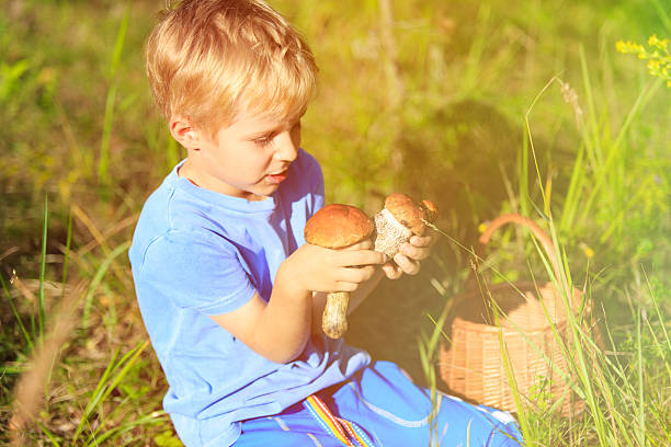 istock little boy picking mushrooms in green forest 484841664