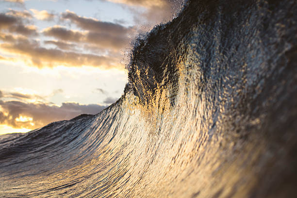 istock Golden Face of a Wave 484842064
