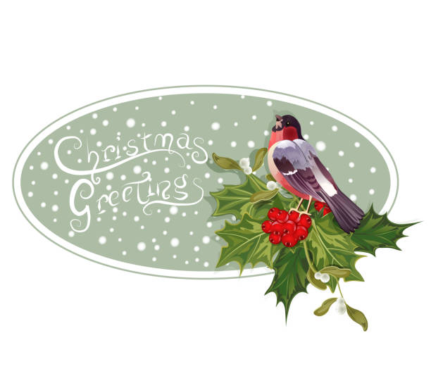 istock vintage Christmas background with holly and bullfinch 484842464