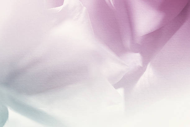 istock colorful petal flower in soft and blur style 484845136