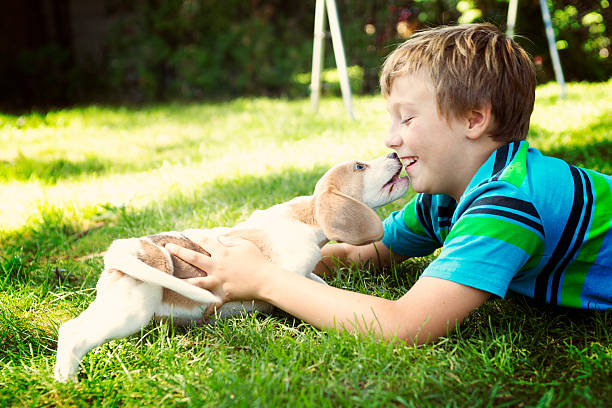 istock Child lovingly embraces his pet dog 484854758