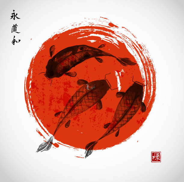 ilustrações de stock, clip art, desenhos animados e ícones de vermelho e preto em estilo japonês koi carpas - carpa espelho
