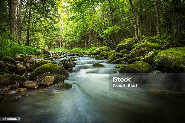 Magical Stream In The Heart Of The Green Forest Stock Photo - Download Image Now - River, Forest, Stream - Body of Water