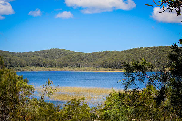Lake McKenzie (Boorangoora) is a perched lake on Fraser Island in Queensland, Australia. The lake is located in the Great Sandy National Park.