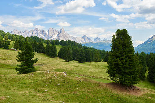 The massive and beautiful peaks of Pale di San Martino. Paneveggio Pale di San Martino Natural Park. Trento  Province. Trentino-Alto Adige. Italy.