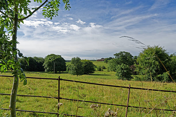 istock Lincolnshire Wolds,UK 484868326