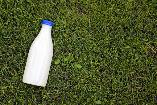 top view of milk bottle on the grass with copy space