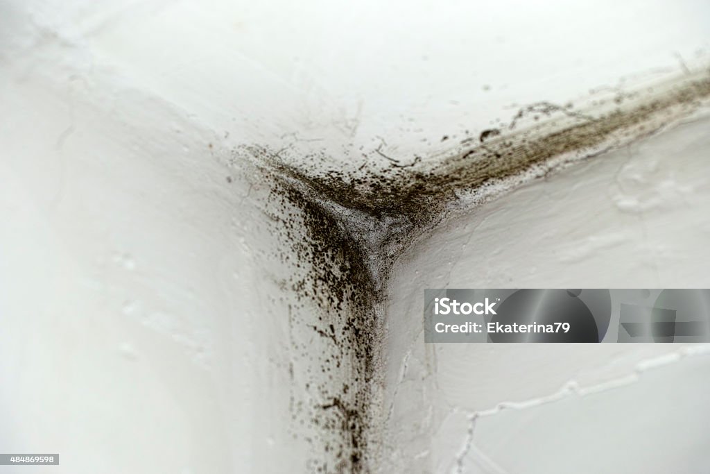 Mold in corner Mold in window corner. Close-up. Mold - Flintshire Stock Photo