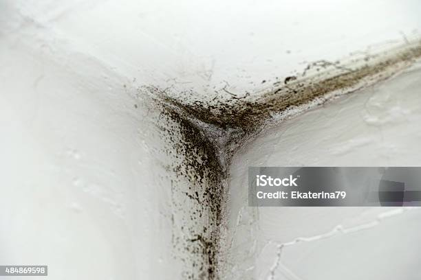 Mold In Corner Stock Photo - Download Image Now - Mold - Flintshire, Toxic Mold, Fungal Mold