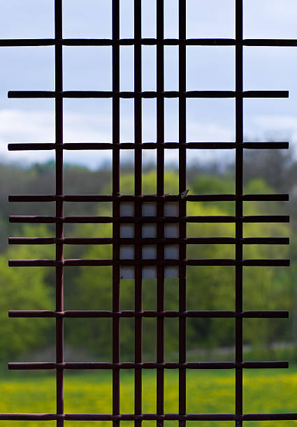 Iron bars on a window stock photo