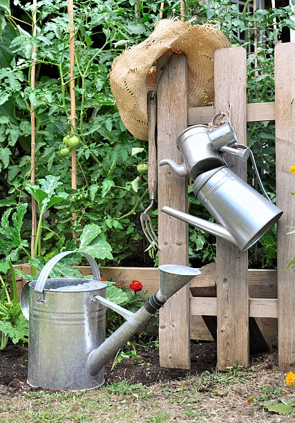 istock watering cans in garden 484875718