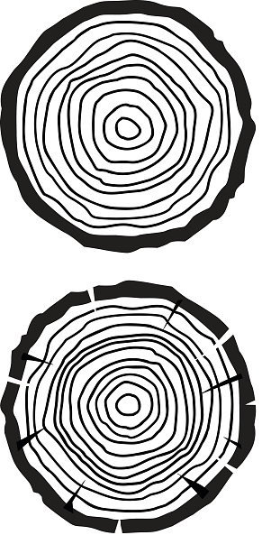 Growth Rings Vector Tree Growth Rings Stock Illustration - Download Image Now - 2015 ...