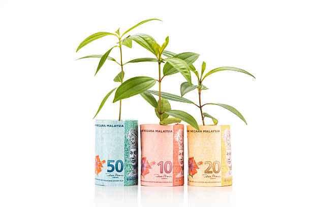 istock Concept of green plant grow on Malaysia Ringgit currency note 484878678