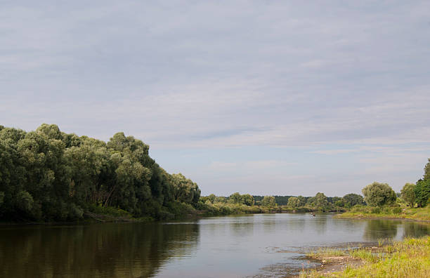 istock Lower bank of Desna river 484878760