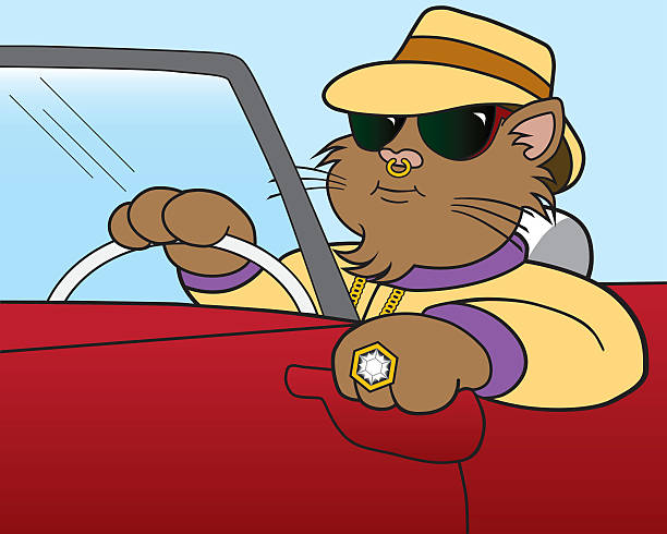 ilustraciones, imágenes clip art, dibujos animados e iconos de stock de tonos de cat - pimp my ride
