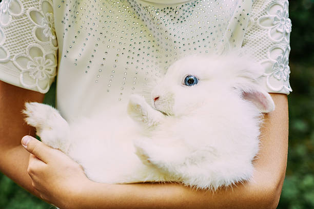 istock Girl Holding In Hands Her Loving Cute Pet White Rabbit 484884638