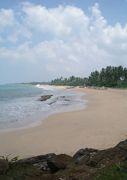 istock wild beach on Sri lanka coast 484887560