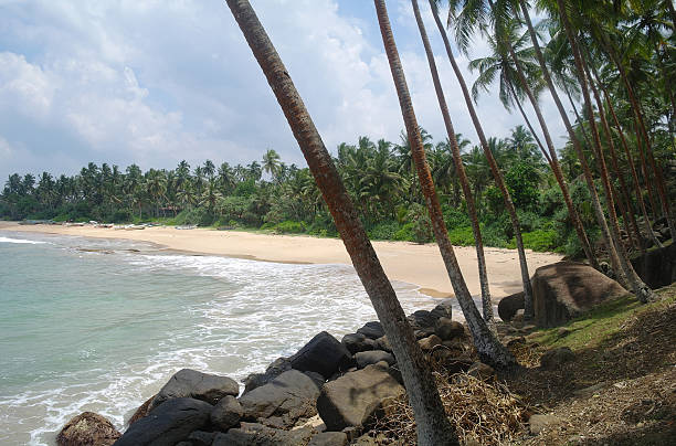 istock wild beach on Sri lanka coast 484887566