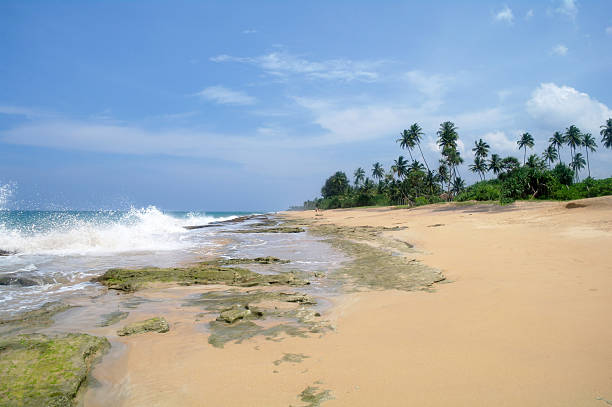 istock Picturesque  tropical beach. Sri Lanka 484887588