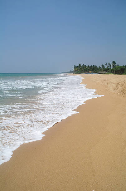 istock Picturesque  tropical beach. Sri Lanka 484887628