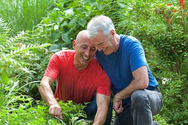 Senior Gay Male Couple Smiling and Gardening stock photo