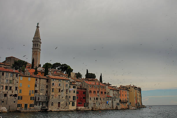 istock Old town Rovinj in cloudy day 484888368