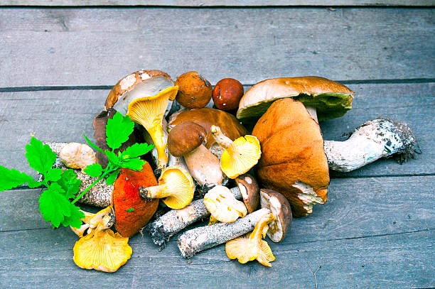 istock Mushroom boletus on wooden background 484891814
