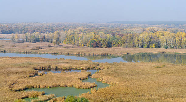 istock River landscape and an autumn wood 484892720