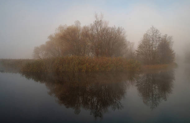 istock River landscape and an autumn wood 484892862