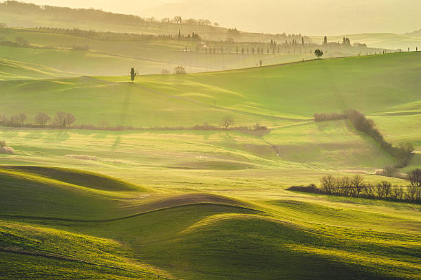 istock Tuscan green mornings and sunrises, Italy 484895343