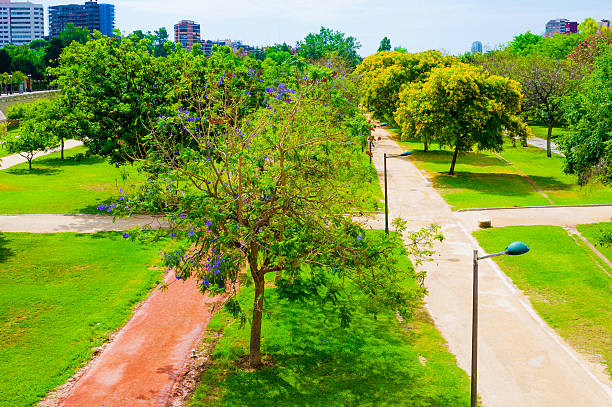 istock View on Turia garden in Valencia, Spain 484896412