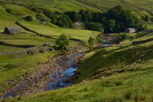 istock The River Swale above Keld 484896718